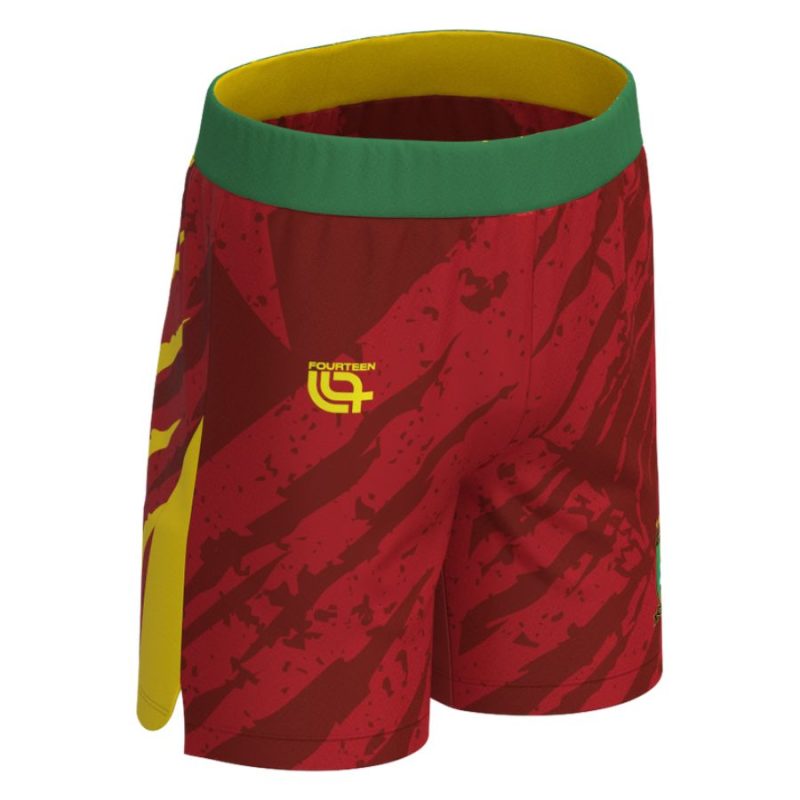 Maillot Kit Enfant Cameroun Domicile 2025 2026